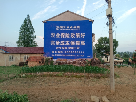 绥江墙体广告的优劣势你知道吗？